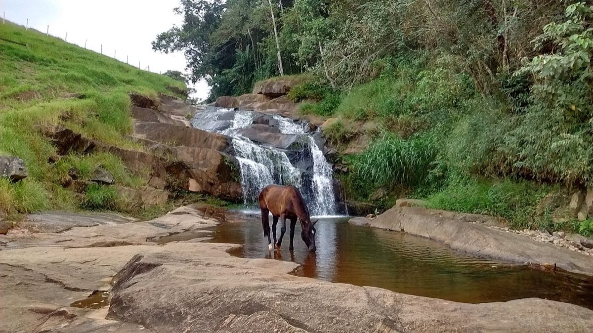 Cachoeira da Estância em Itajubá com um cavalo bebendo água diante da queda